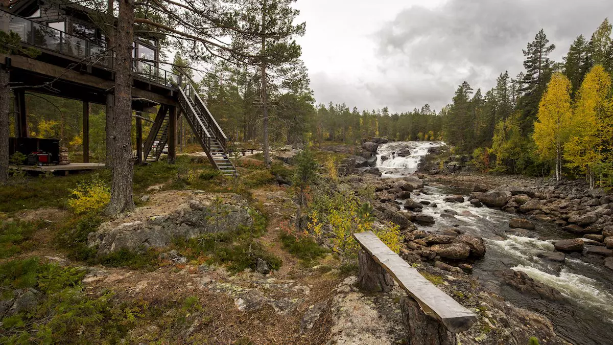 Fosstopp tretopphytter