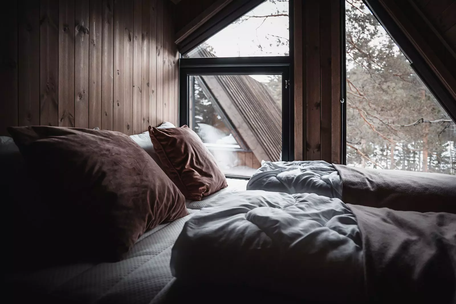 Fosstopp tretopphytter