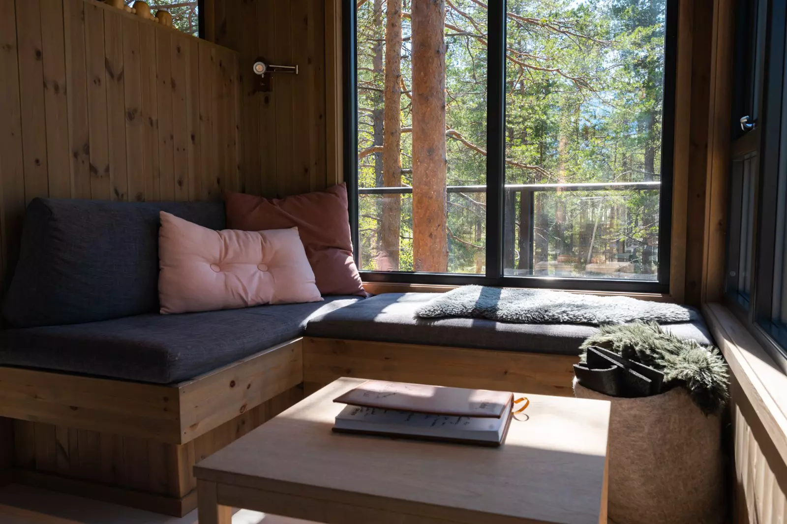 Fosstopp tretopphytter