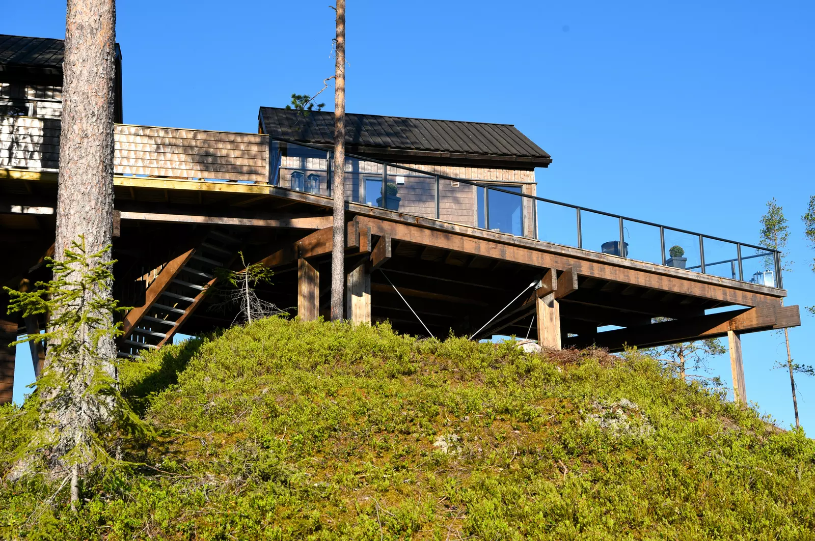 Fosstopp tretopphytter