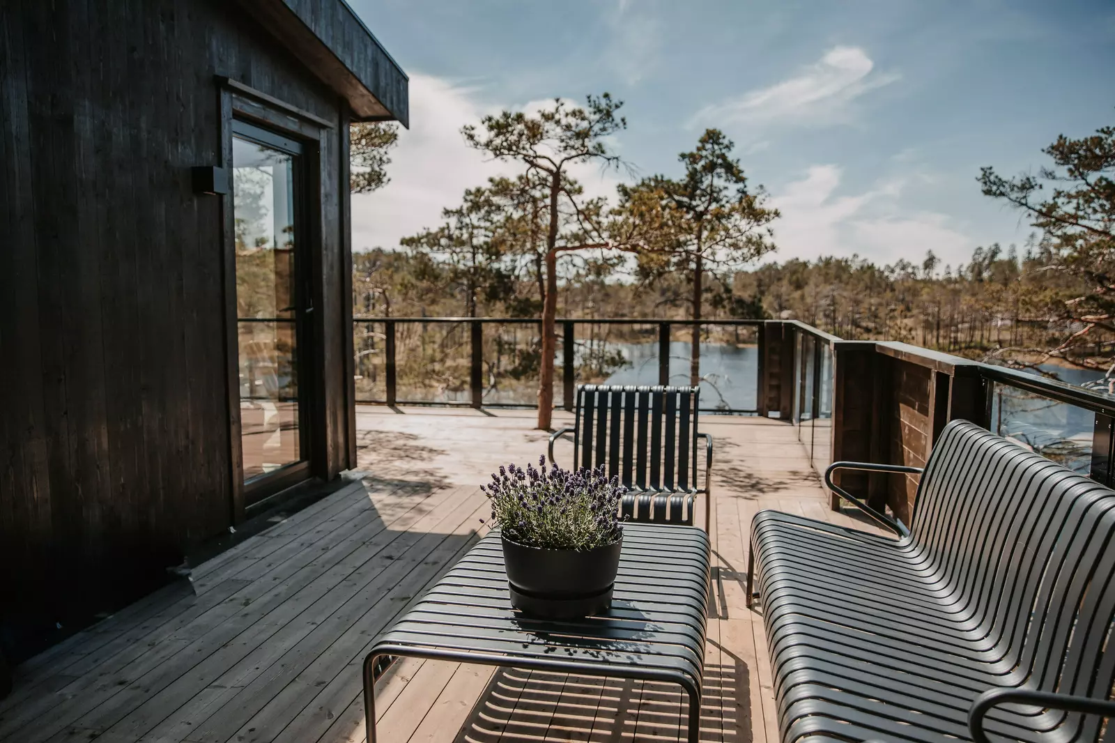 Furukrona Tretopphytte med utendørs jaquzzi