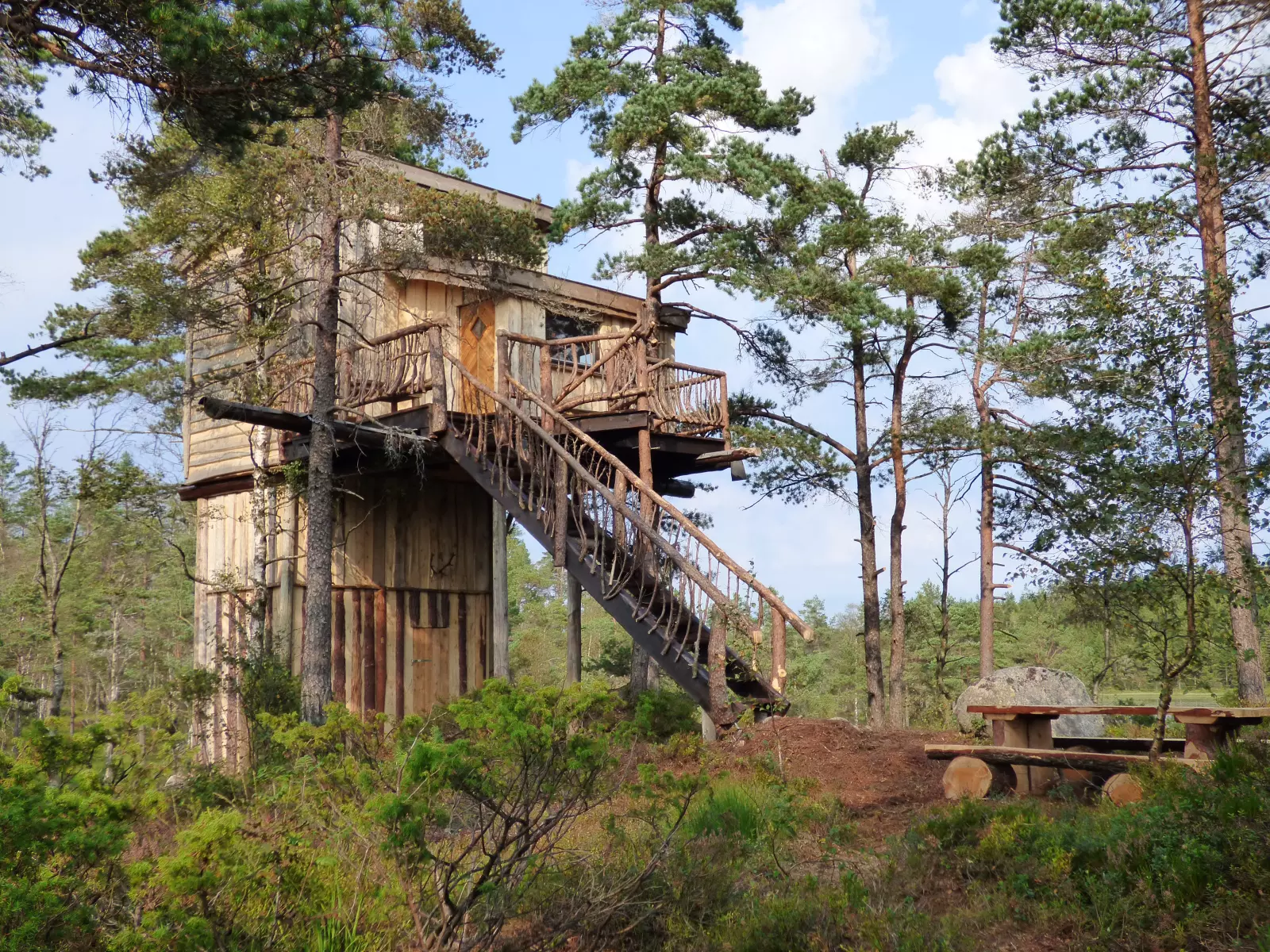 TreeTop Fiddan - Villmarks Tårnet