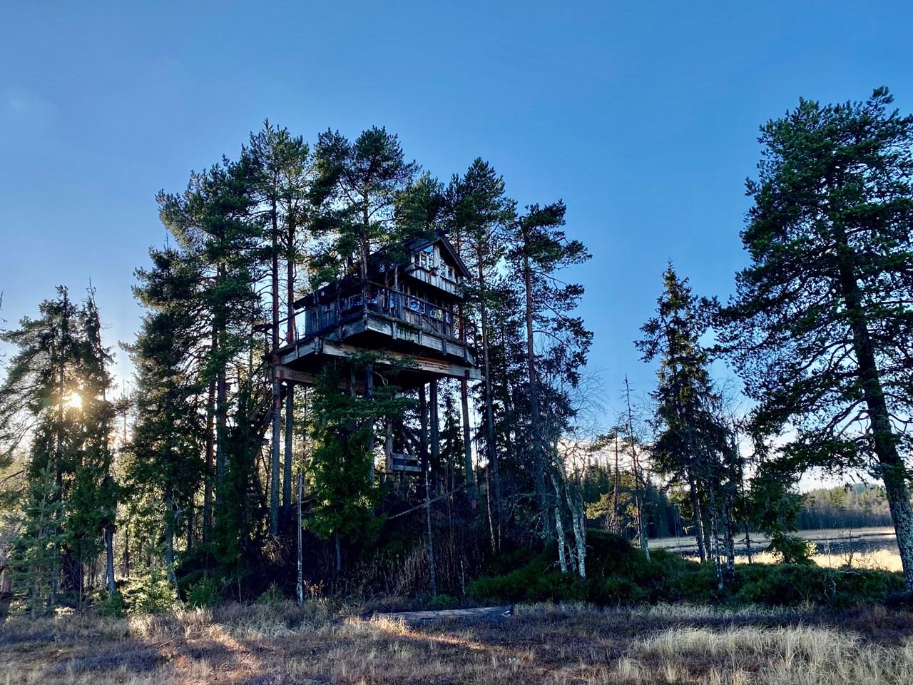 Tree top hut - Himmel