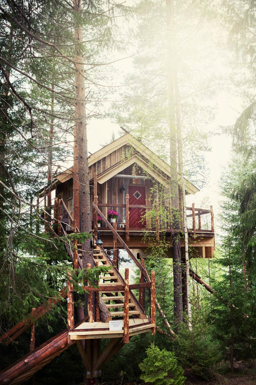 Tree top hut - Klatrehytt