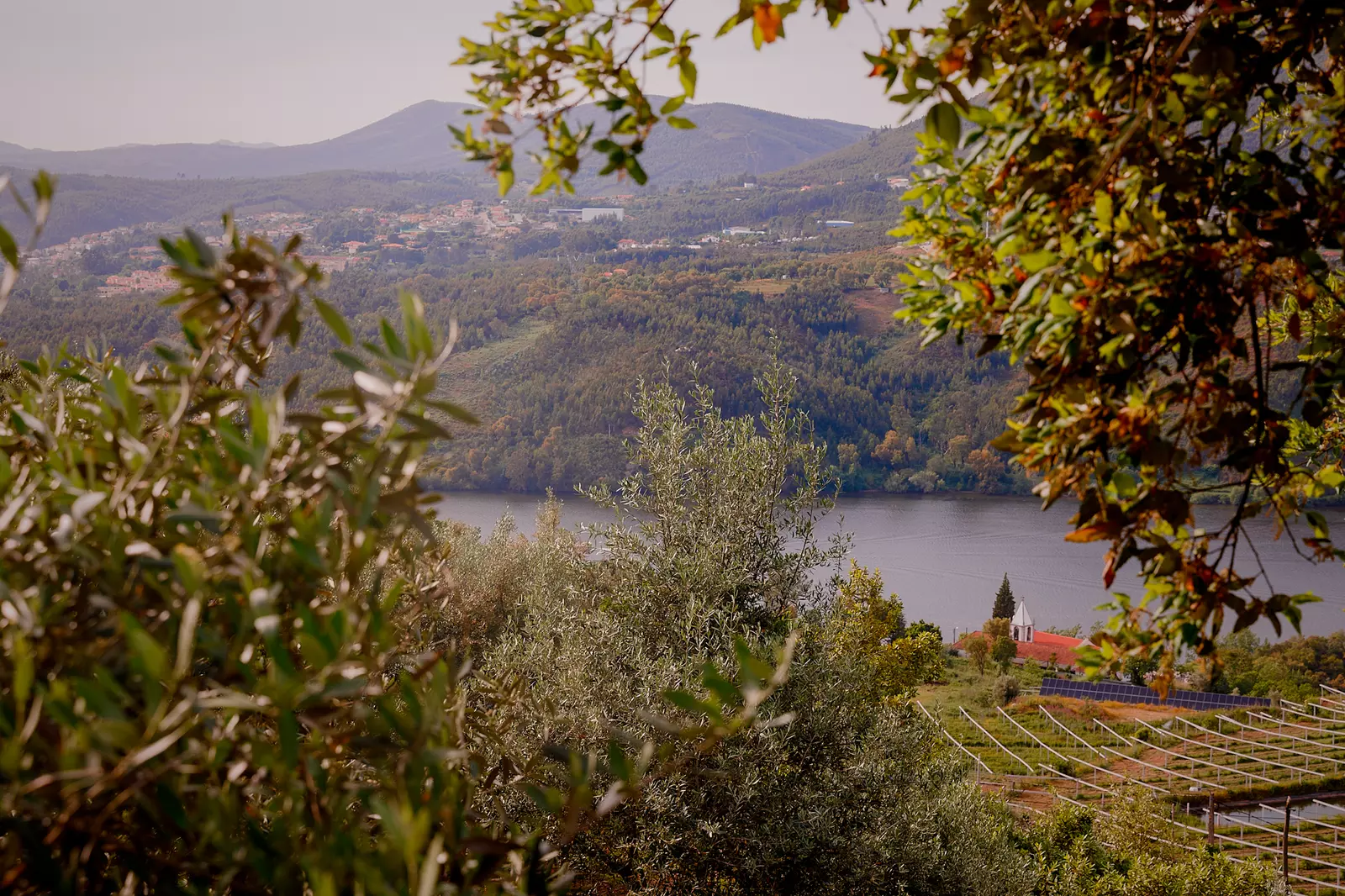 Arrabia Guest Houses Glamping