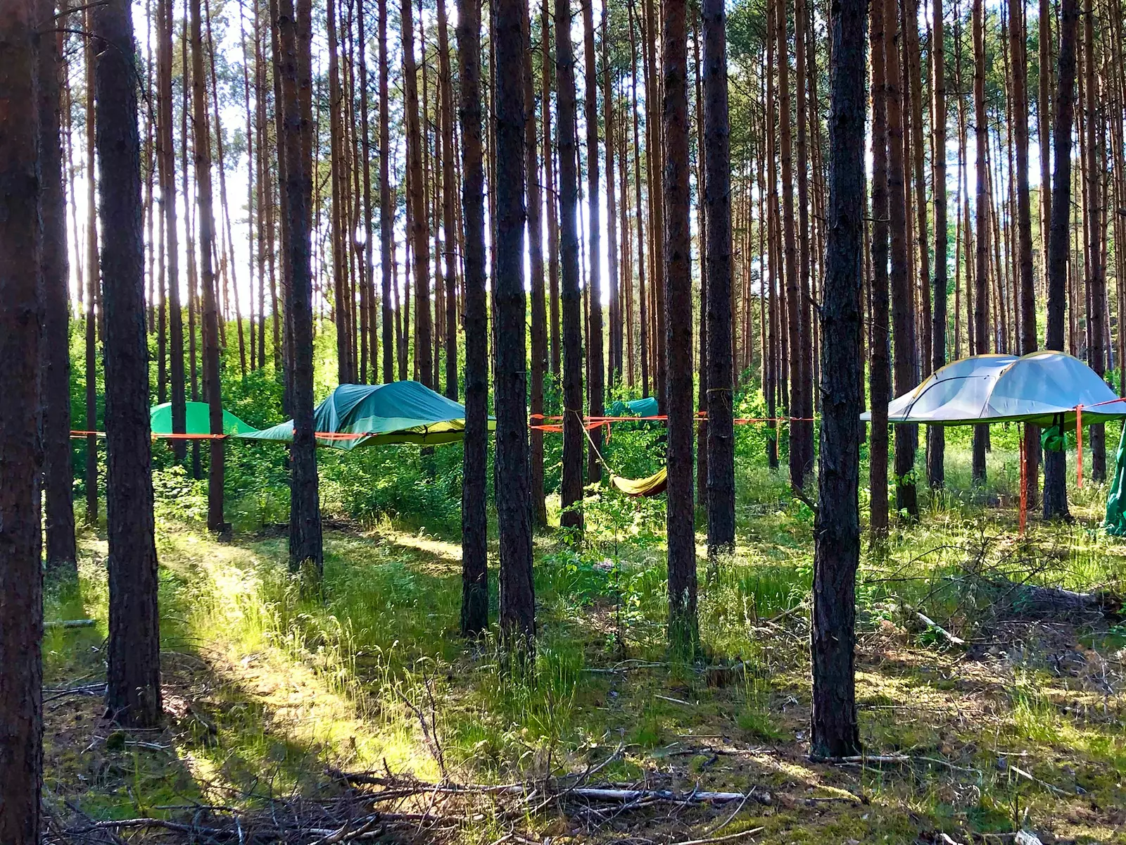 Hanging Tent im Wald