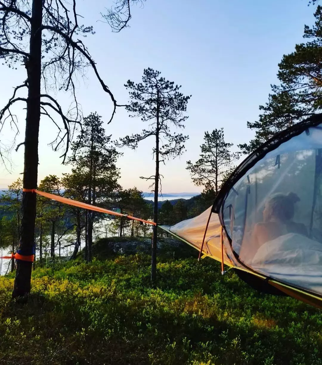Treetop Ekne- Svevetelt med utsikt