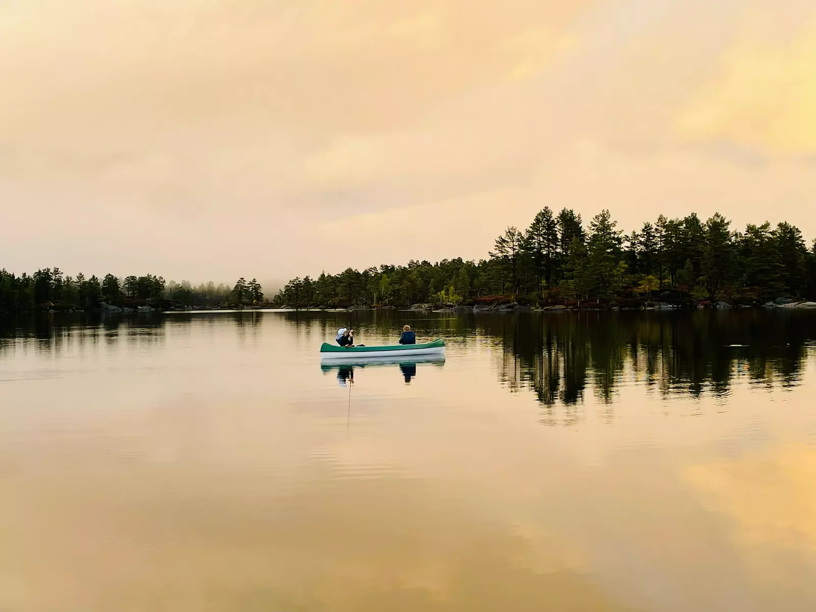 Sov svevende i naturen – Glamping i tretoppene på Skåre Gård Villmarkscamp