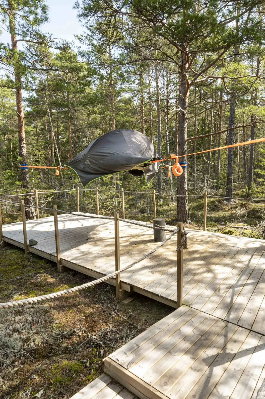 Baumzelt unter Inselkiefern - Kalliokumpu Eco Lodge
