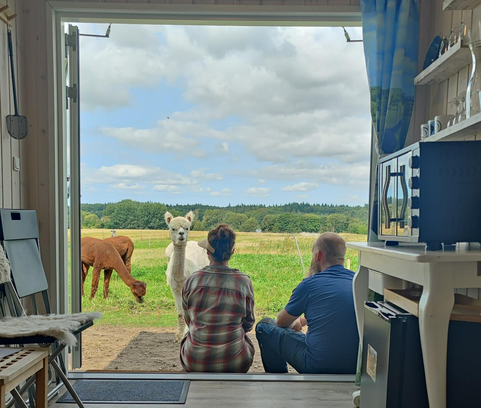 Panoramaophold i Alpacapa