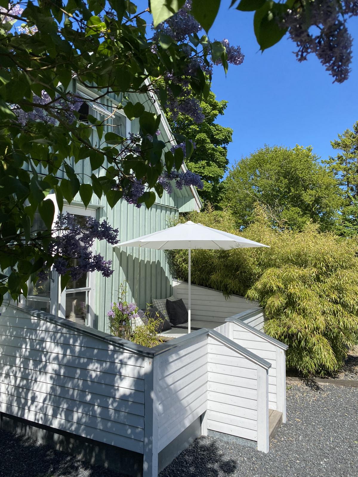 Lille grønne hytte med v