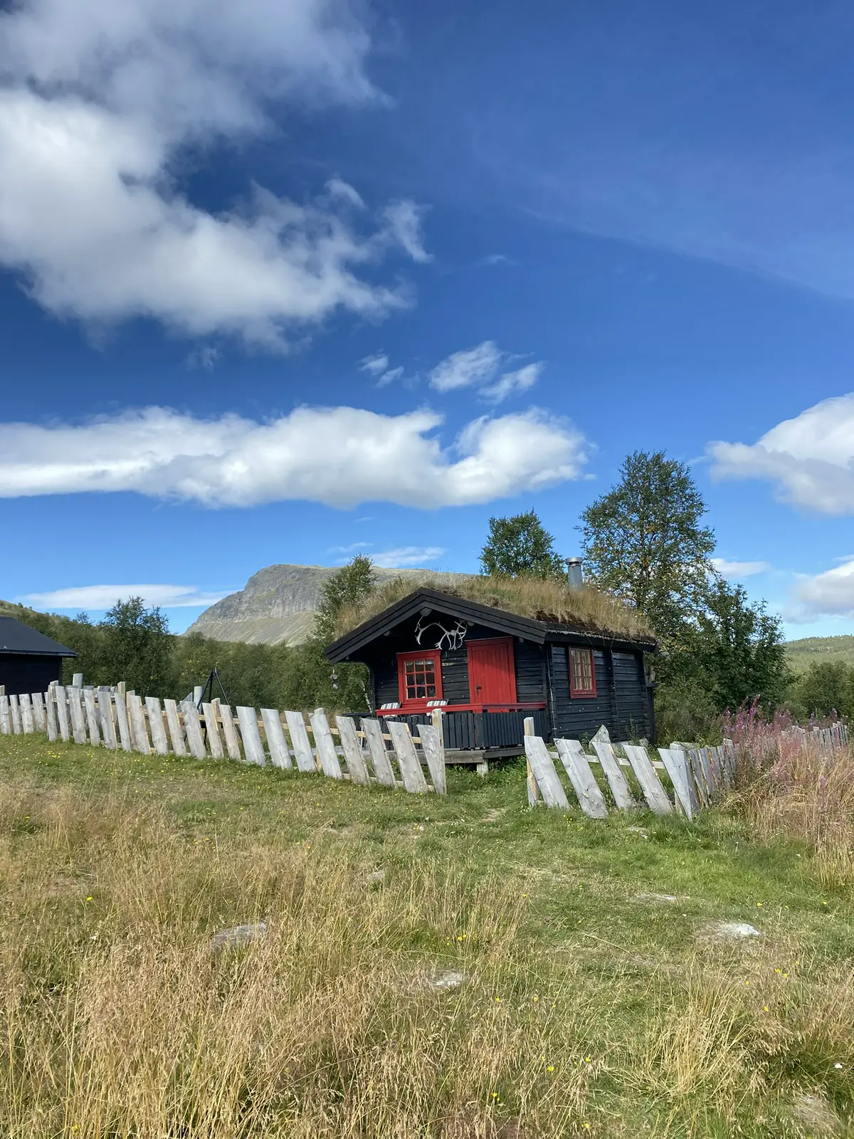 Log-cabin at Ellingbø Mountain Farm