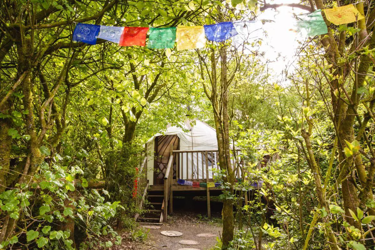 The Bentwood Yurt