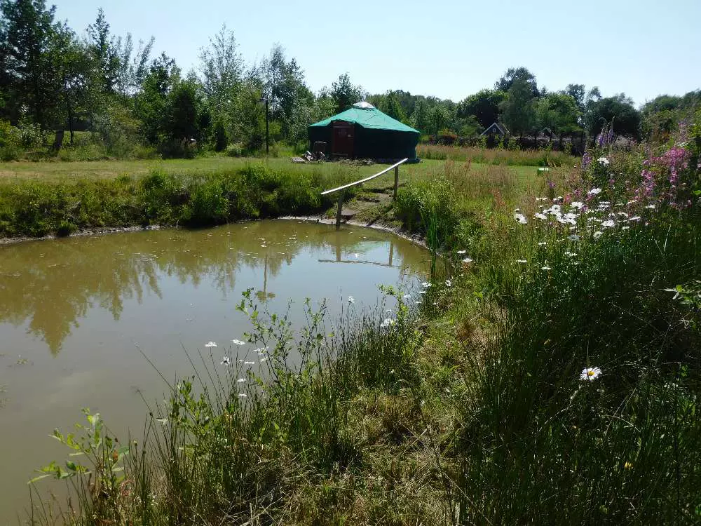 Privéterrein met yurt, sauna, overdekte keuken en meertje