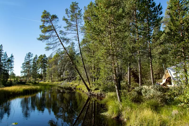 Femunden Canoe Camp