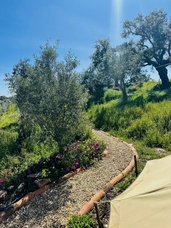 Bell Tent Stay at Vale Amado's Oliveira, Off-Grid. 
