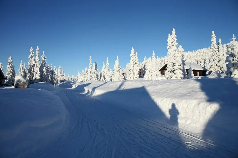 Sjusjøen Hytteutleie AS