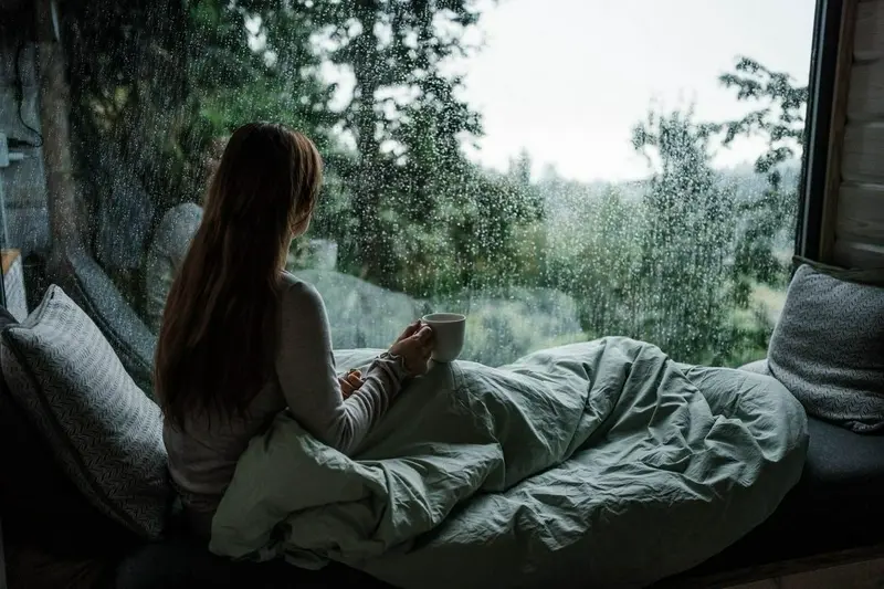 LAUV Treetop cabins and experiences