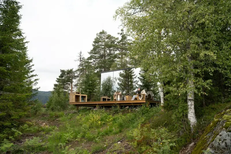 Vidsyn Midjås AS