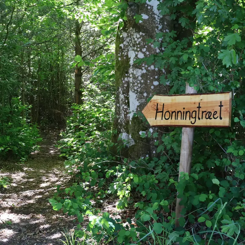 Schellerup Gård - Glamping