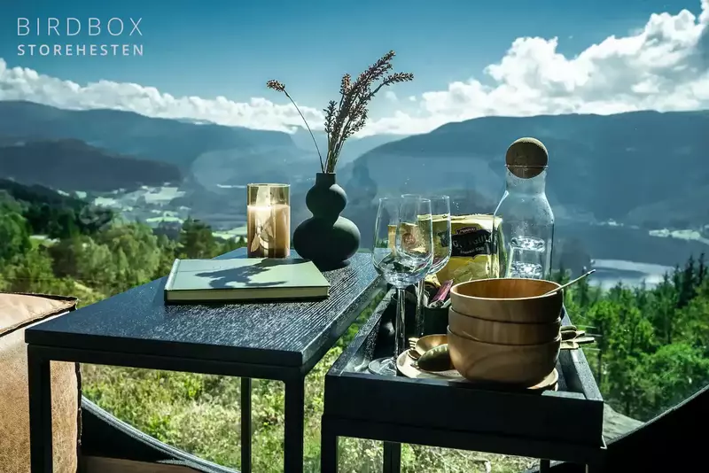 Birdbox Storehesten