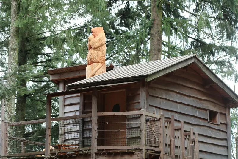 Les Cabanes de Labrousse - Cabanes perchées dans les arbres en Ardèche 