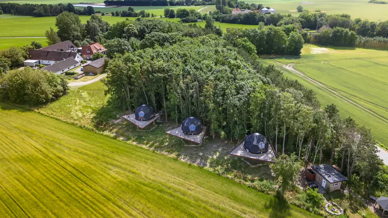 Møllegårdens Trætophytter