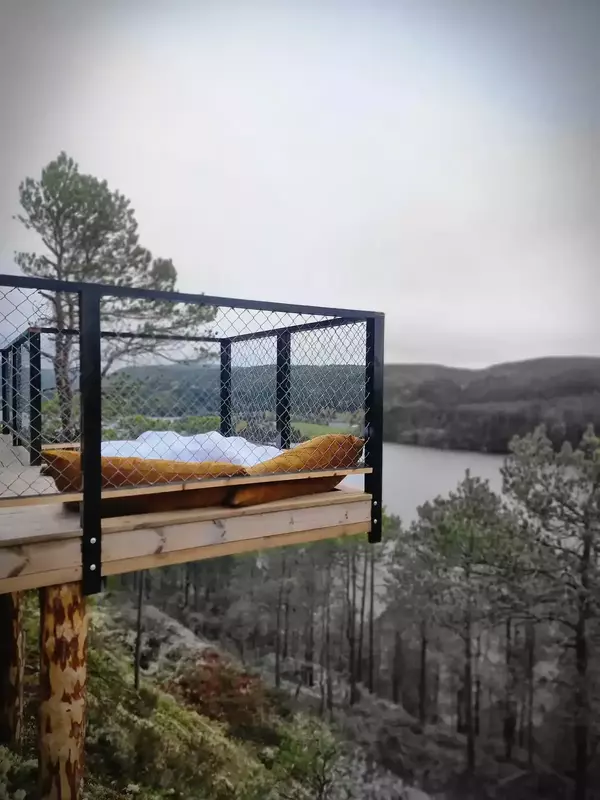 Treetop Ekne