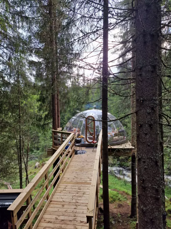 Tretoppiglo ved Lårdalselva