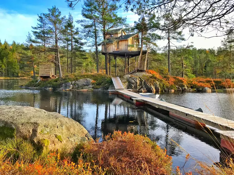 Treetop Island