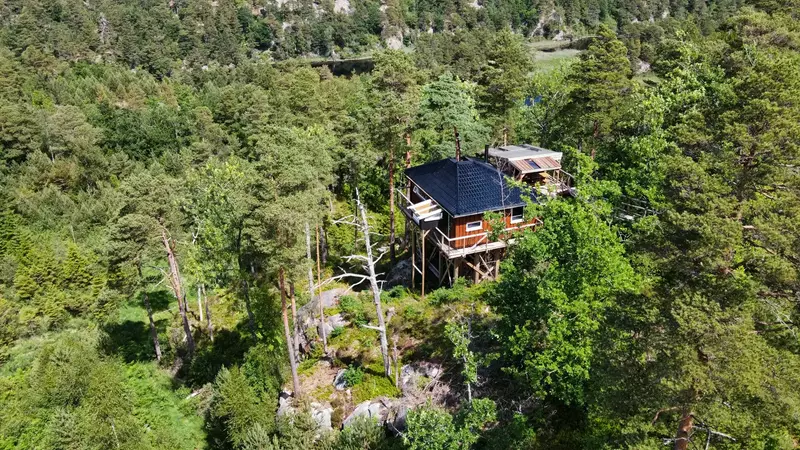Gluba Treetop Cabins