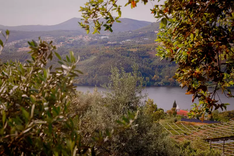 Arrabia Guest Houses Glamping