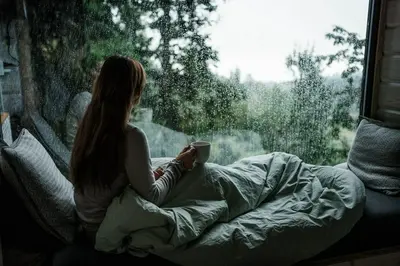 LAUV Treetop cabins and experiences