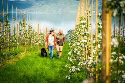 Kleppa Gard & Glamping