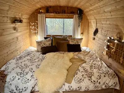 Heart of Nature ❤️✨❤️