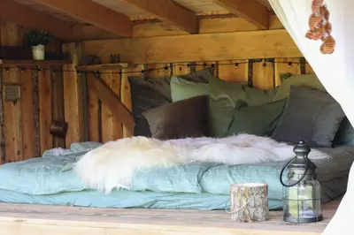 Heart of Nature ❤️✨❤️