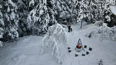 Tretopphytte i Lårdal - Naturens Eget Familieparadis med dyr og natur tett på