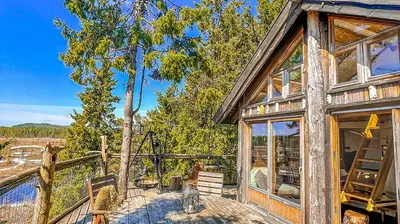 Tree top hut - Bjørk