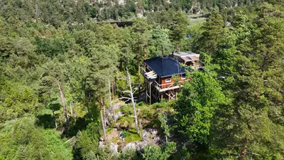 Gluba Treetop Cabins