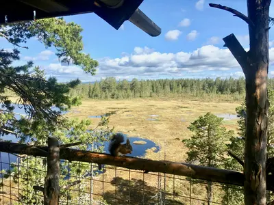Tree top hut - Himmel