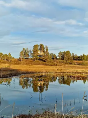 Romundstad Treetop Panorama