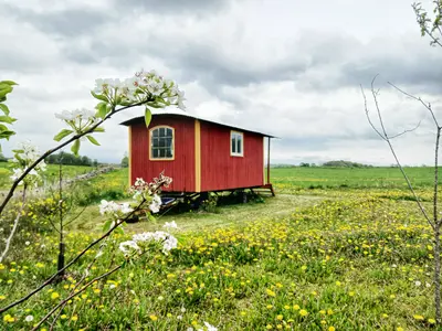 Gula Vagnen: Nostalgi och natur i unik cirkusvagn