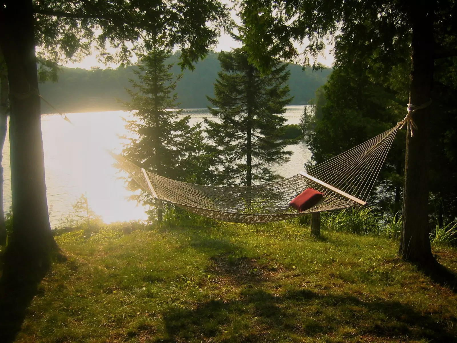 Cabin with view at a river