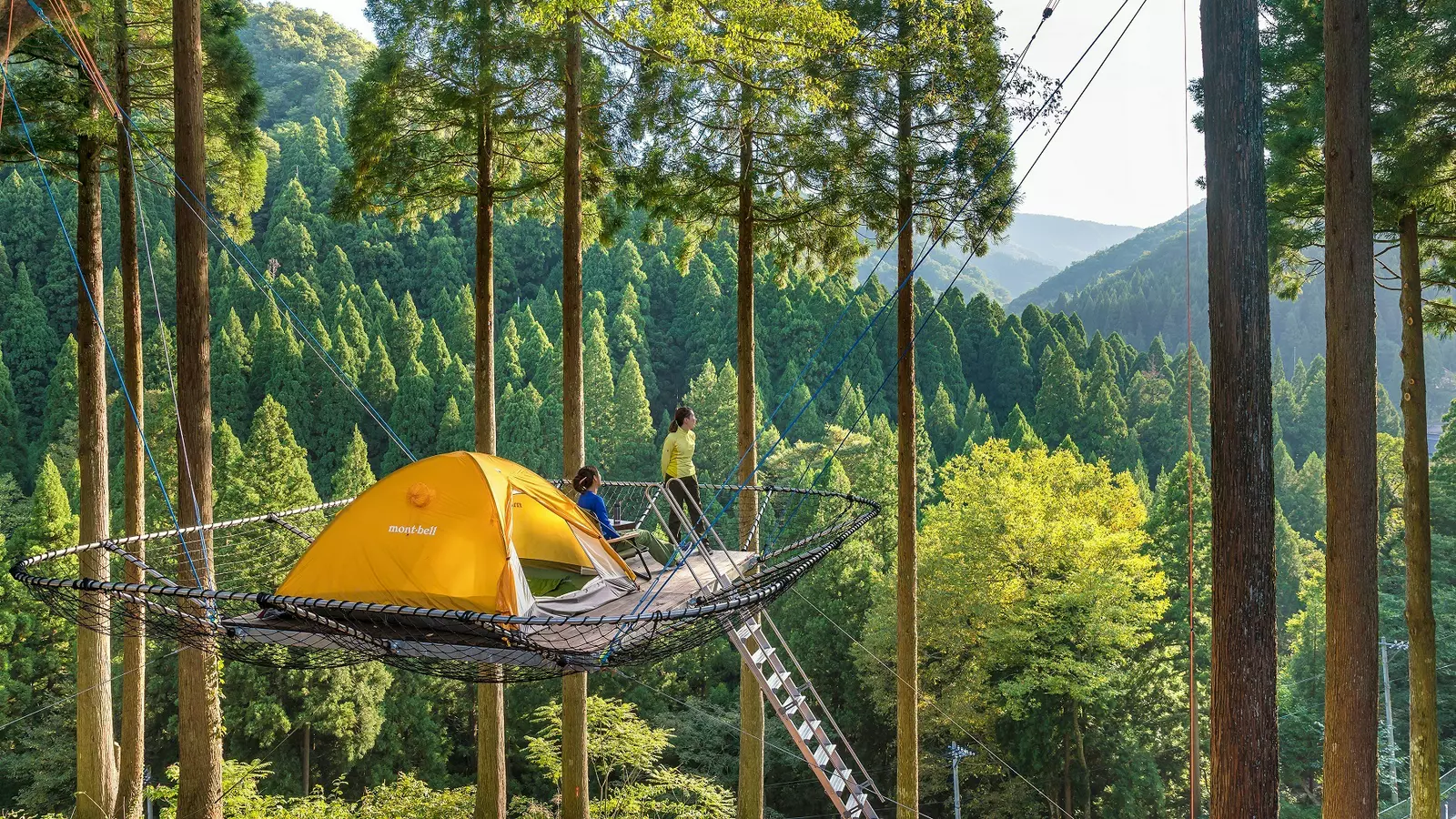 image gallery