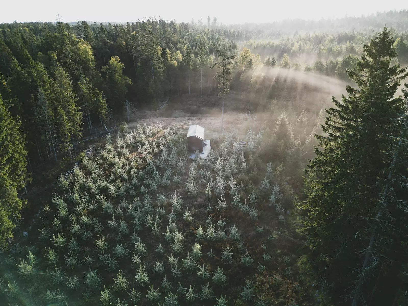Trolltunga View Camping