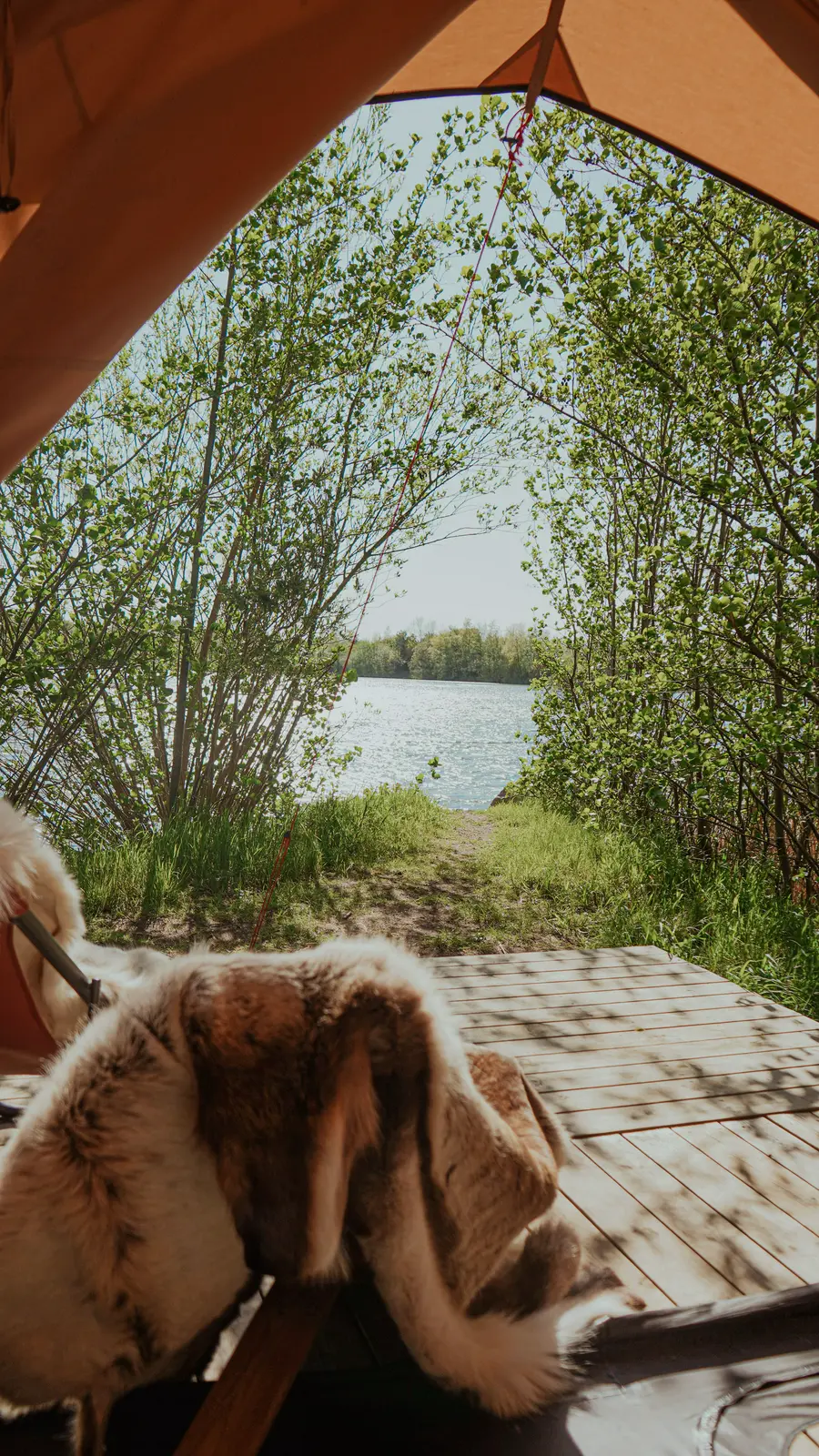 4-Aborren - Naturlig Glamping på Korsgaarden