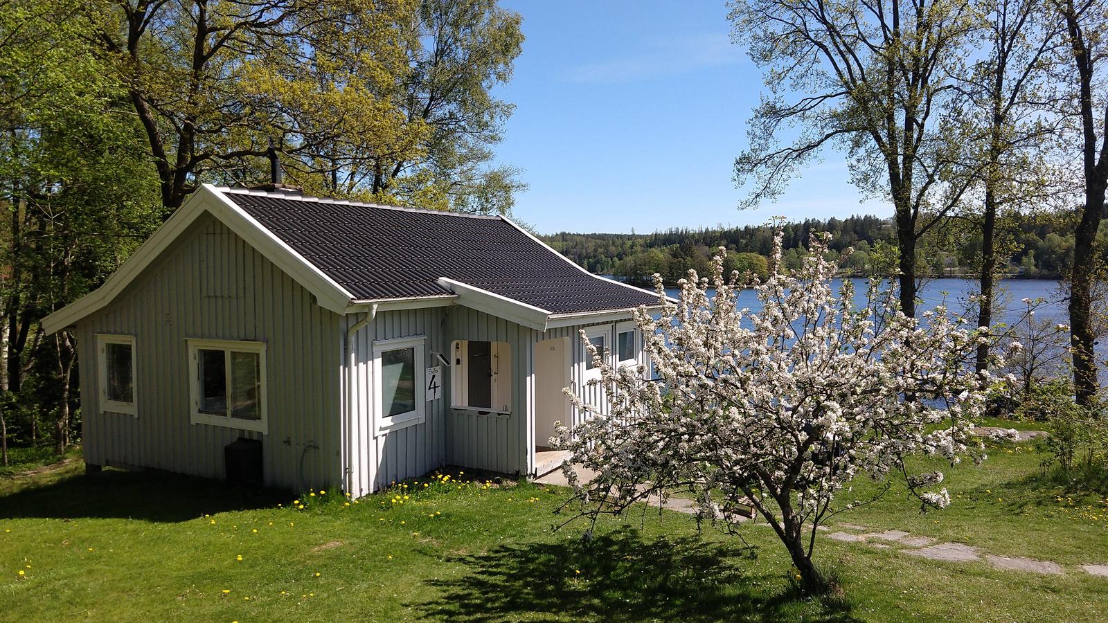Évika 4