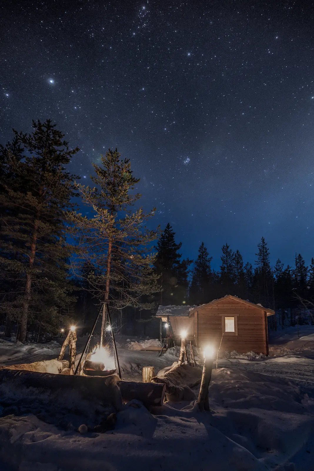 Cosy cabin in the wood - 7 days stay