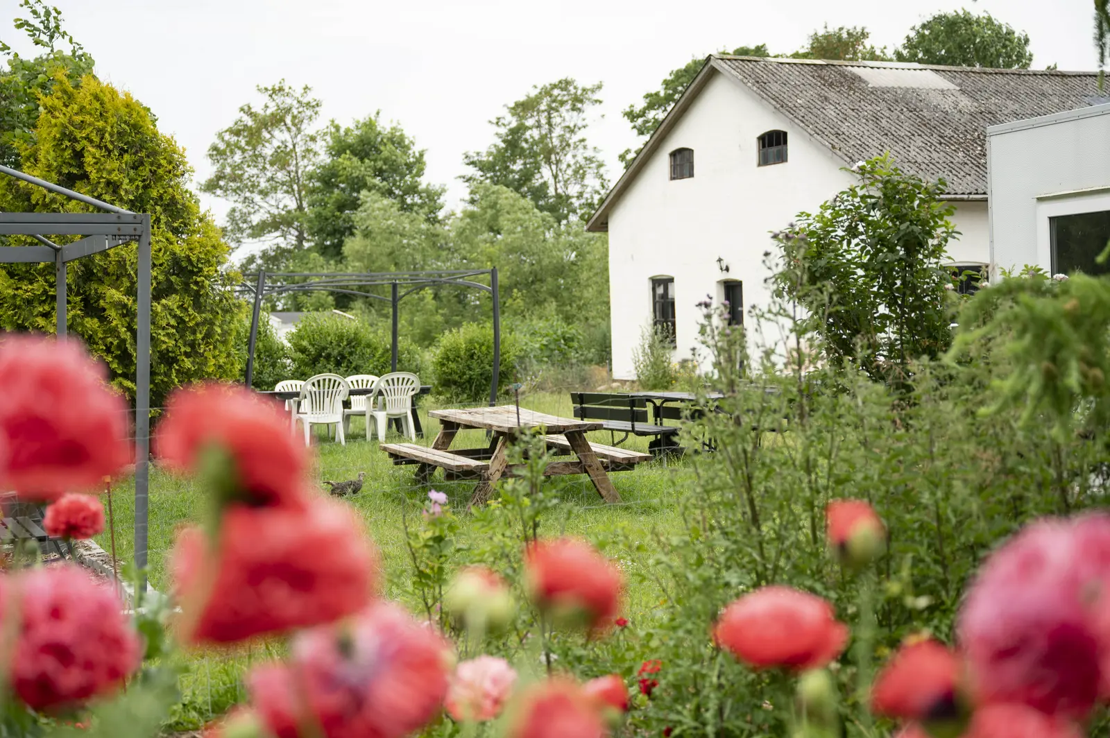 Cabin i Føllenslev – Skortskær East Cottage – photo 15