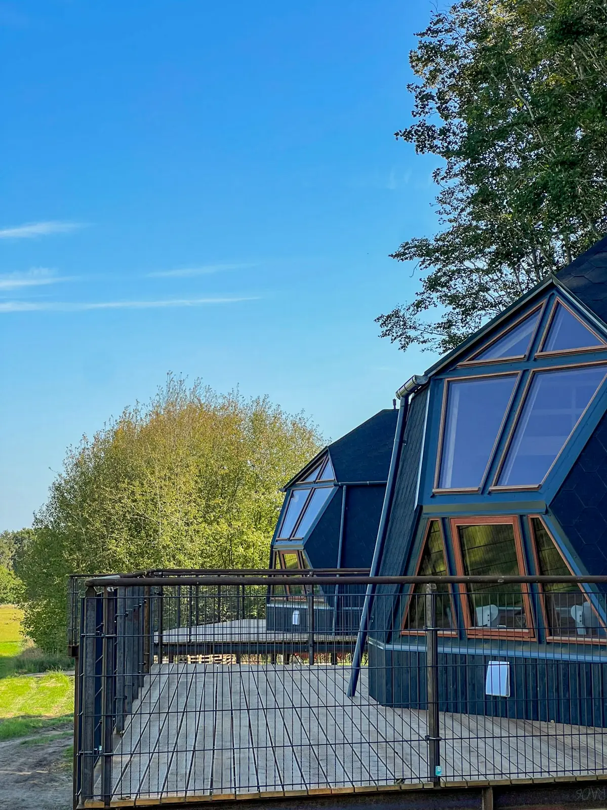 Møllegårdens Trætophytter